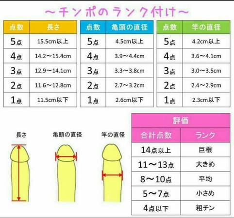 日本「巨根测量图」神解析gg大小!