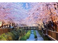 台北春季旅展下週登場　東京、曼谷自由行5天7千有找！
