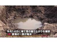 日本天空落隕石？青森麥田出現3公尺神秘大洞