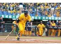 快訊／蔣智賢扛本季第11轟　比賽9局上因雨暫停