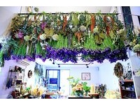 隱身民宅的台北老屋咖啡館　滿滿乾燥花的夢幻空間！