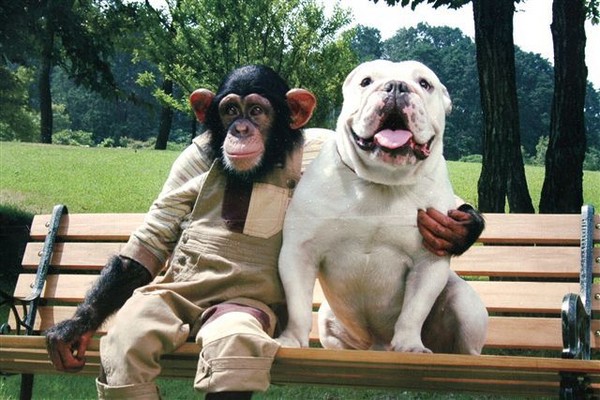 《狗狗猩猩大冒险》复活啦!小庞女儿选中詹姆