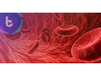 幹細胞生產血球　有望解決血液供給問題