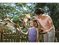 新加坡動物園　世界最佳雨林動物園