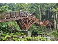 拍出絕美森林系意境！溪頭新地標「全台最長木造橋」啟用