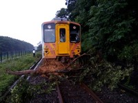 內灣往竹中路樹倒塌　台鐵列車撞土石暫停！