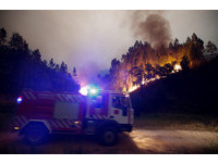 葡萄牙森林大火至少57死59傷！16人開車一半　公路上遭活活燒死