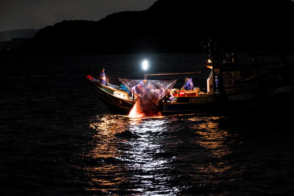 金山蹦火重傳無logo照片。（圖／記者徐文彬攝）