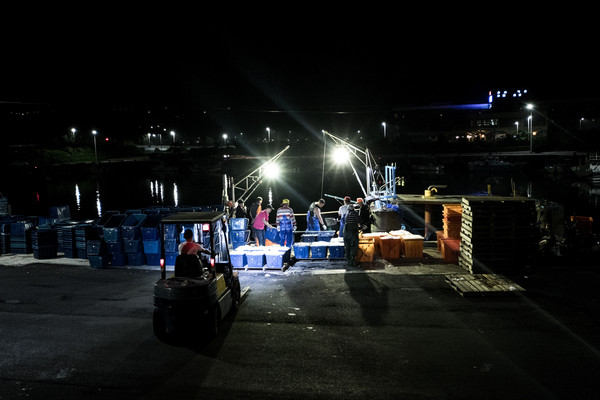 金山蹦火重傳無logo照片。（圖／記者徐文彬攝）