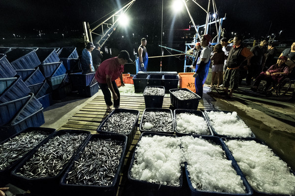 金山蹦火重傳無logo照片。（圖／記者徐文彬攝）