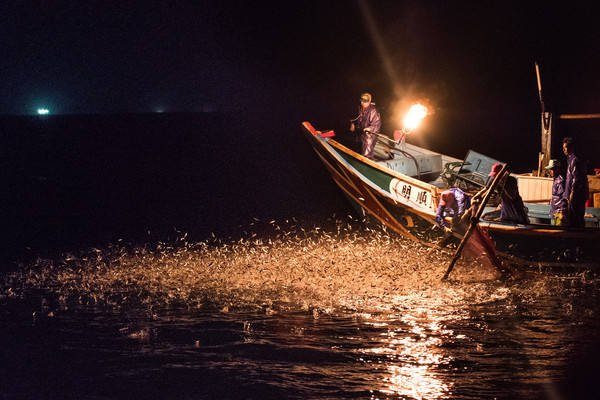 金山蹦火重傳無logo照片。（圖／記者徐文彬攝） 