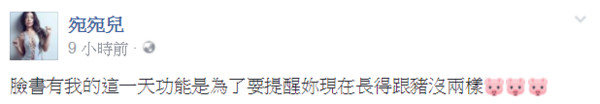 ▲宛宛儿脸书动态回顾。（图／翻摄自宛宛儿脸书）