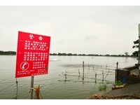 桃園感染「吳郭魚湖泊病毒」池塘　7月初解除移動管制