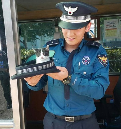 ▲釜山警方照顧小貓。（圖／翻攝自????）