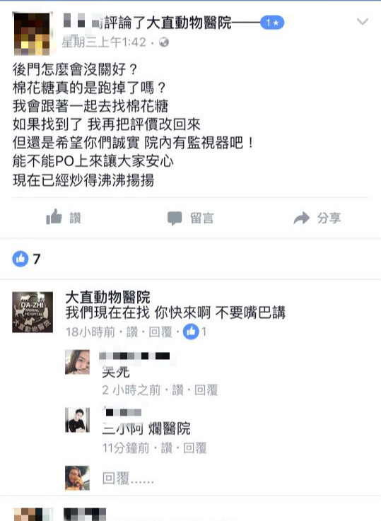 ▲貓咪棉花糖剃毛逃跑失蹤。(圖/翻攝醫院臉書)