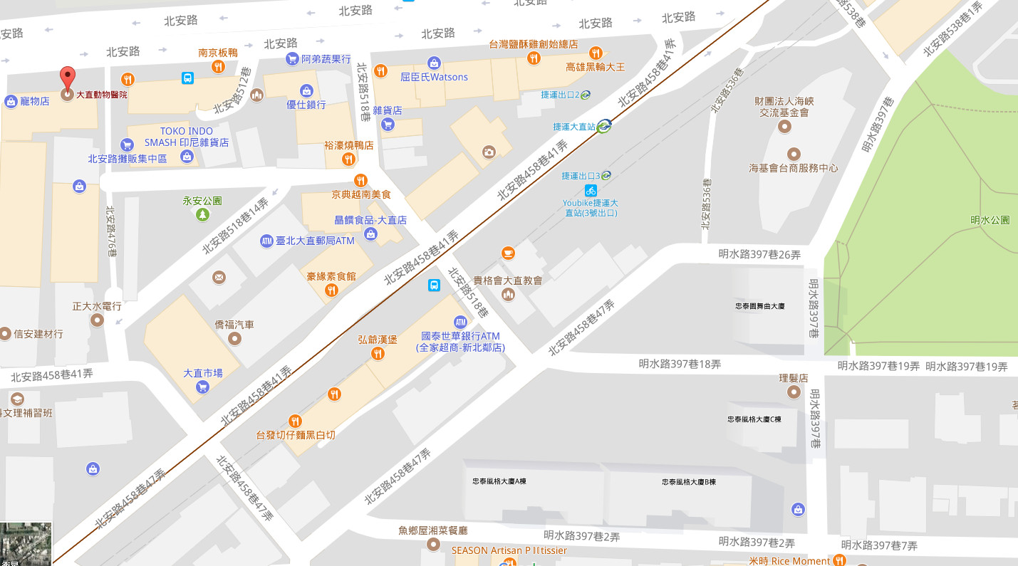 ▲貓咪棉花糖剃毛逃跑失蹤。(圖/飼主提供)