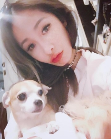 ▲萧亚轩为了救狗，跟信义区的阿伯起争执。（图／翻摄自萧亚轩Instagram）