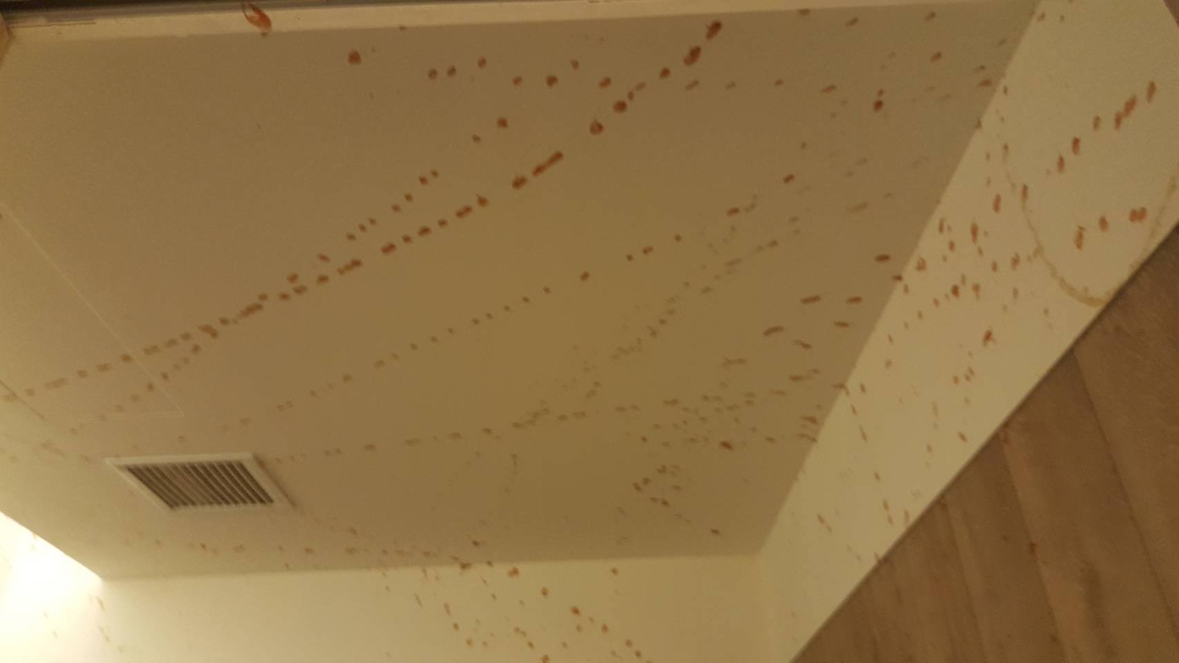 台影城厕所满地卫生纸到处屎尿秽物番茄酱喷天