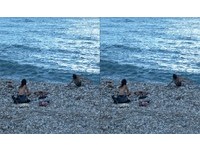 海邊玩水見「上空妹裸泳」　他拍照爽炫耀...網友找出地點了！