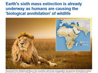 數十億動物消失  報告：地球已步入第六次生態大滅絕