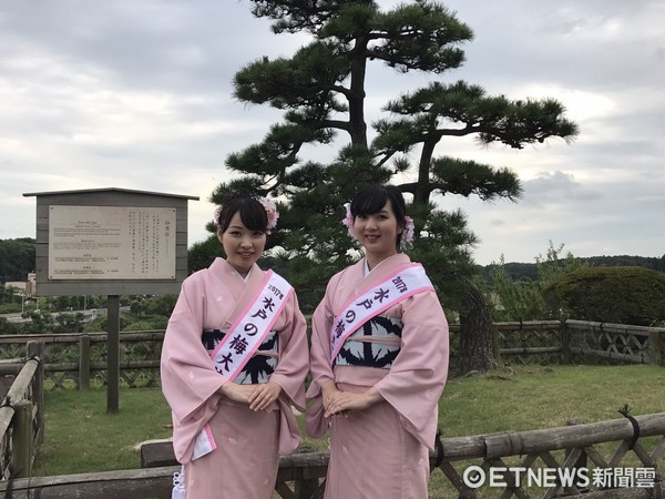 台湾虎航与日本茨城县签合作备忘录 盼从包机转成定期航线