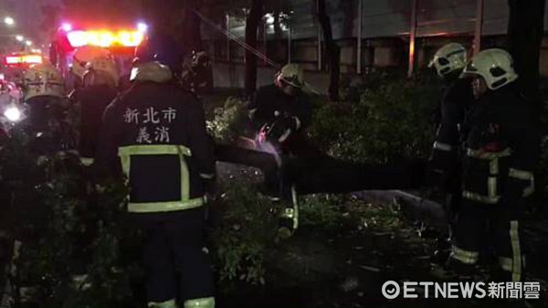 ▲中颱尼莎強風暴雨,新北市板橋有路樹壓到正在行進中小客車,幸好車內民眾脫困無大礙。(圖/記者林煒傑翻攝)