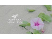 LamiGirls新EP熱銷好歌再推薦　溫室開不出的花MV登場