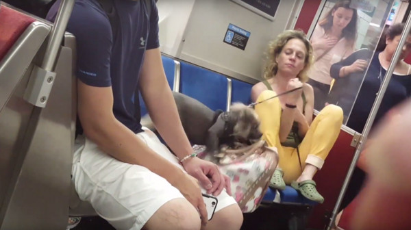 ▲▼加拿大多倫多一名金髮女在地鐵上虐待小狗。（圖／翻攝自YouTube／Roxy Huang）