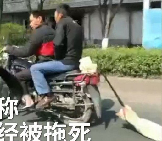 ▲▼廣東省揭陽市兩名男子騎一台機車拖著狗。（圖／翻攝自梨視頻）