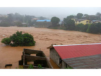 獅子山共和國首都洪災312死！紅十字會：死亡人數還會攀升