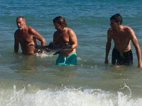 ▲ 海豚寶寶出現在西班牙知名度假海灘，被數百名遊客團團圍住，在動保團體Equinac獲報趕到現場後，海豚寶寶早已不幸身亡。（圖／翻攝自Facebook／asociacionequinac.org）
