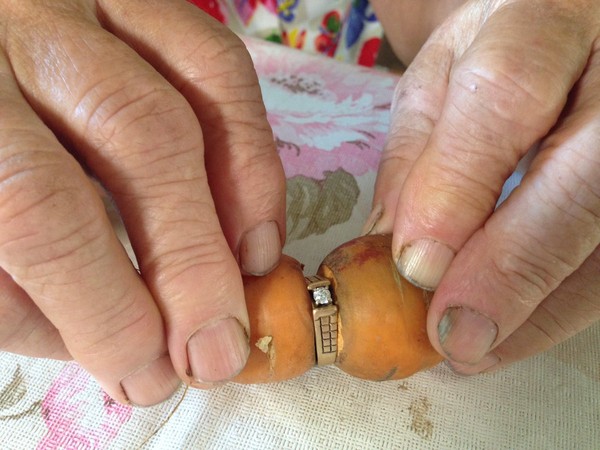 ▲▼加拿大阿嬤遺失的戒指，13年後找到卡在紅蘿蔔上。（圖／翻攝自推特SarahNKraus）