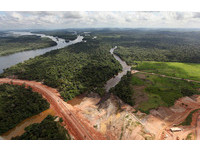 每小時少300個足球場大小！印尼雨林消失速超越亞馬遜