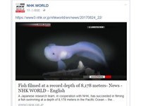 日本破紀錄！　4K攝像無人機潛入8米深海捕捉新奇生物