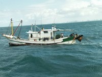 台南海巡強力執法　打擊違規捕魚