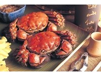 秋天吃蟹　新北望月樓一次讓你吃到大閘蟹與萬里蟹