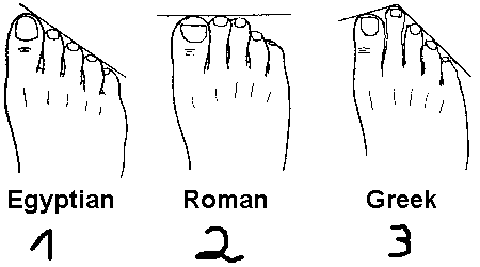 腳趾,希臘腳,羅馬腳,埃及腳,自由女神,雕像,正妹