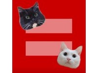 貓咪也支持同志婚姻！　換上「紅色等號」頭像聲援