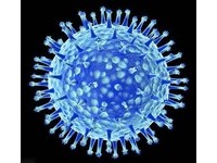 H7N9隱性病患「恐蔓全球」　室內比室外更易中標！
