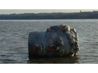 「巨人頭顱」漂浮在紐約哈德森河　7英尺塑像來歷不明