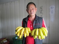 林峻邑受不了建築業交際應酬　回鄉種出香甜屏東香蕉