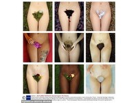 挑釁藝術的界限　9張女人的私密花園