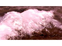 美國「巫藥湖」冰針奇景　雪白結晶如龍鬚糖堆向岸邊