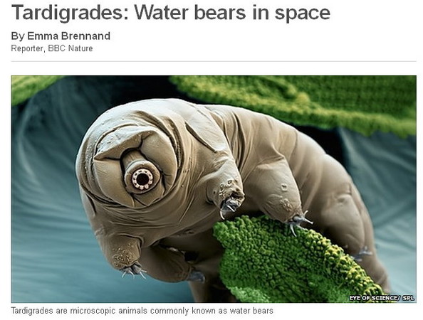 「最强不死生物」水熊虫 为人类移民太空当先锋