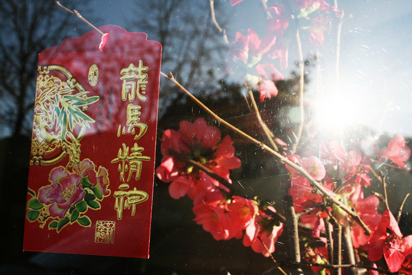 ▲▼ 過年,龍馬精神,新年,農曆年,春節。（Photo by Quinn Dombrowski／Flickr）https://flic.kr/p/jJKg5a