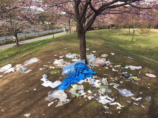 东京公园花朵满开…草皮堆叠垃圾 日本人看了心碎