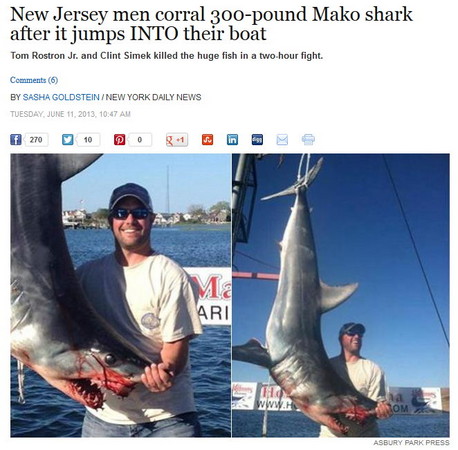 ▼尖吻鲭鲨(mako shark)跳到船上「送死」?