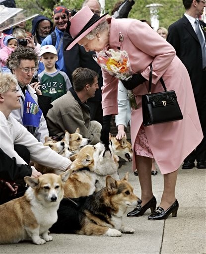 英国伊莉莎白女王 不舍13岁柯基犬重病.安排安