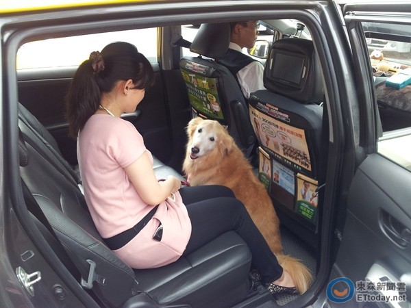 「宠物友善月」活动与车队合作 大型犬也能出