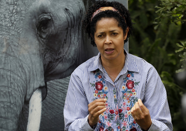  ▲ ▼ The executive director of the nonprofit organization, WildaDirect, Paula Kahumbu, has described the death of eight black rhinos in Kenya. Disaster. 
